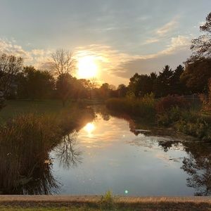 Meet your Posher, Avery